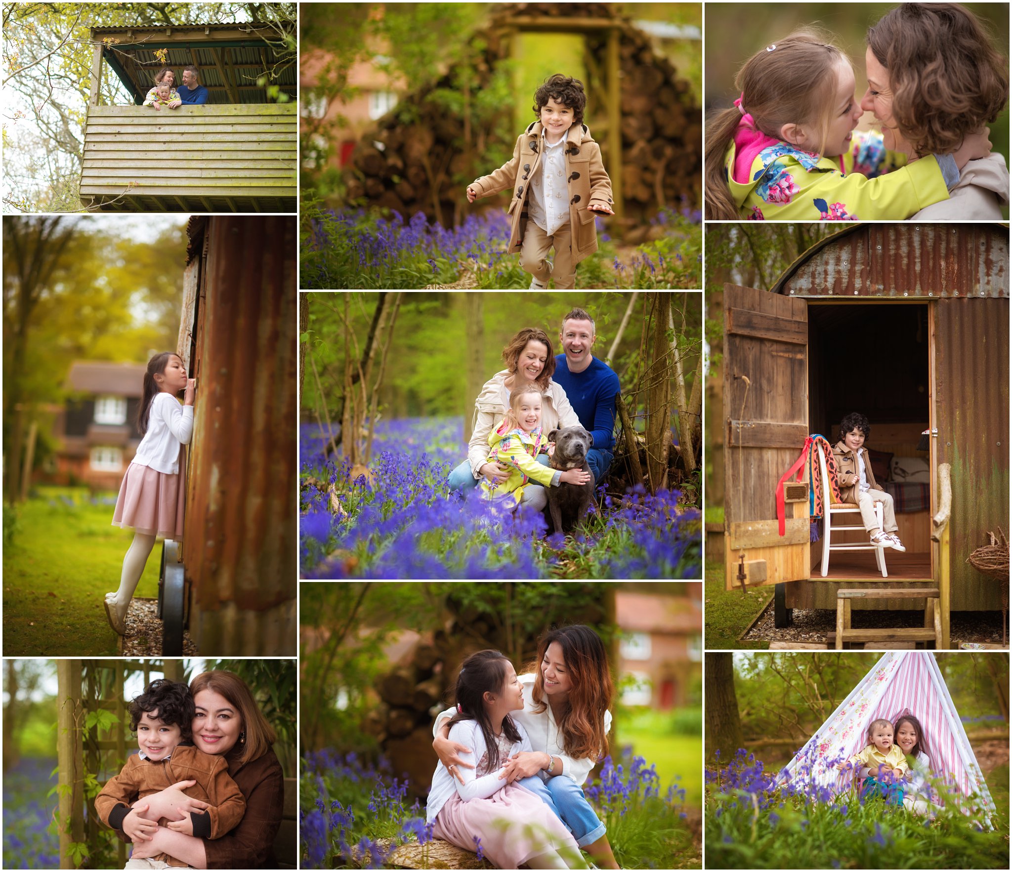 Bluebells Mini Photo Shoots bluebells photo shoots hampshire