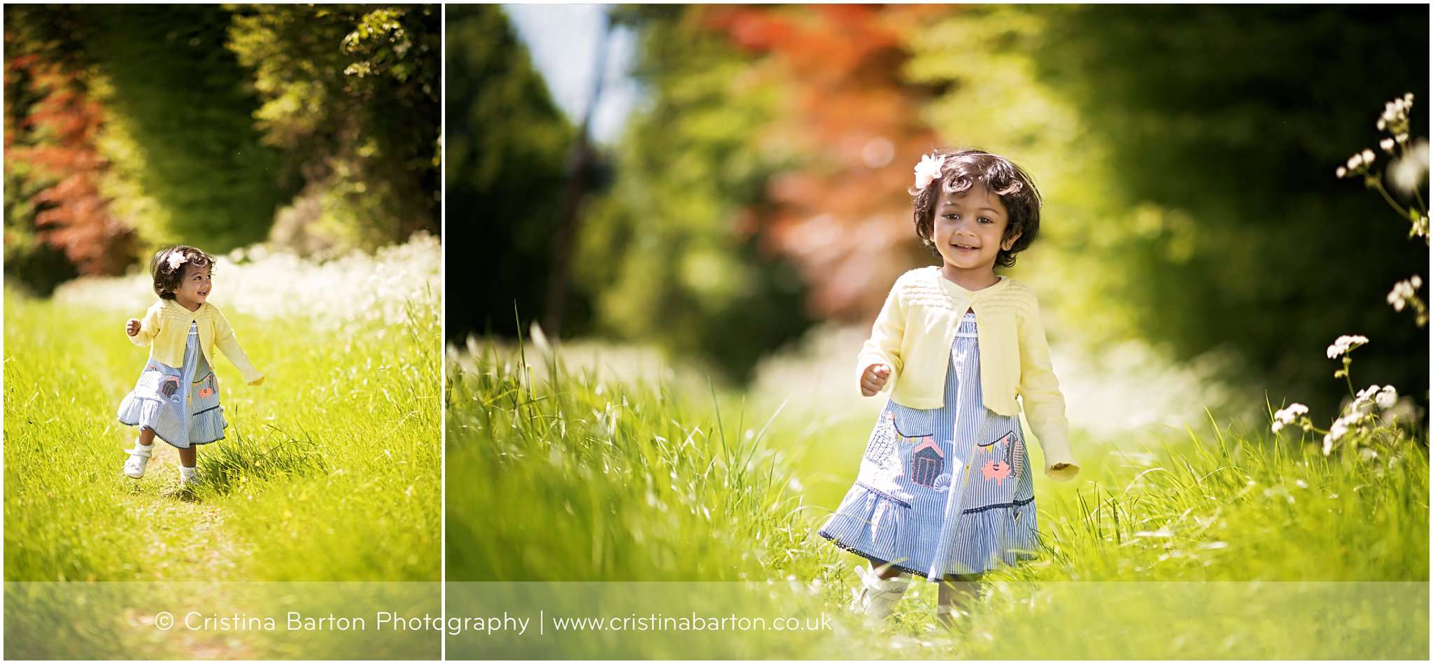 Toddler Portraits in a Meadow<br>Basingstoke Baby Photography toddler and family photography
