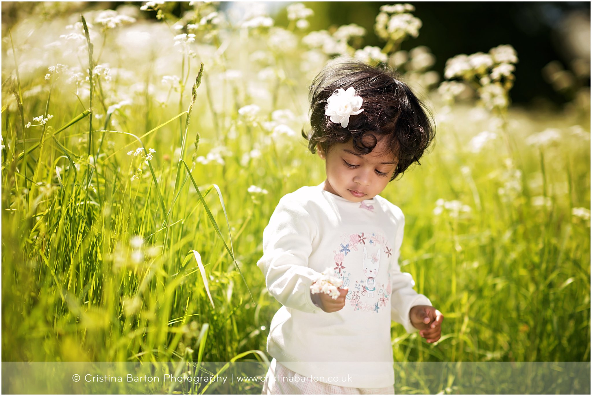 Toddler Portraits in a Meadow<br>Basingstoke Baby Photography toddler and family portraits