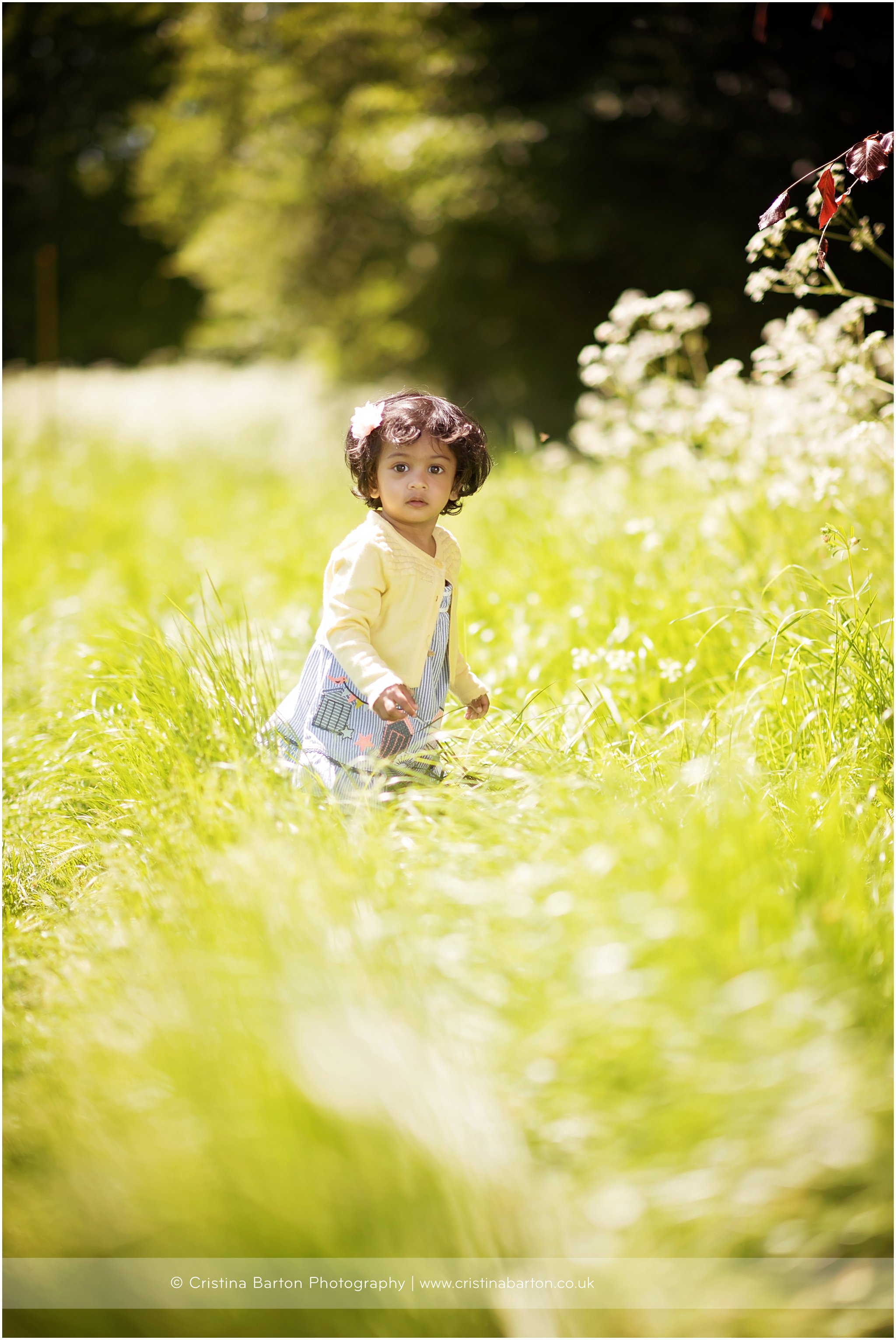 Toddler Portraits in a Meadow<br>Basingstoke Baby Photography toddler and family portraits