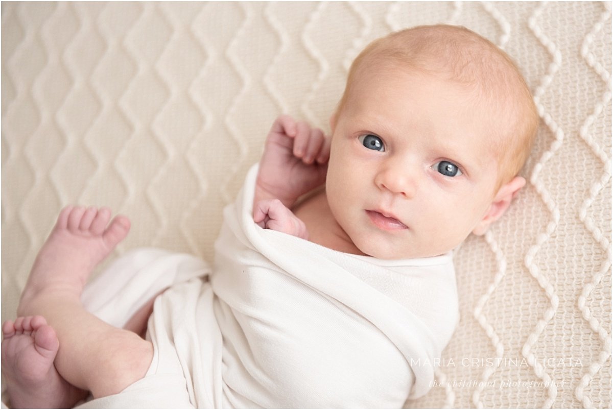 winchester newborn photography