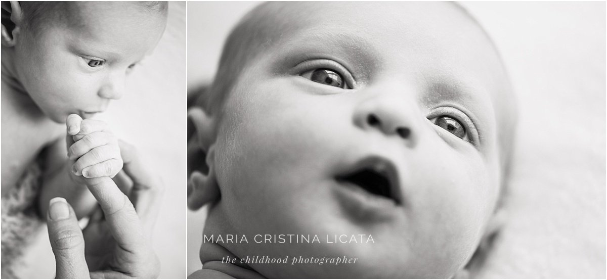 winchester newborn photography
