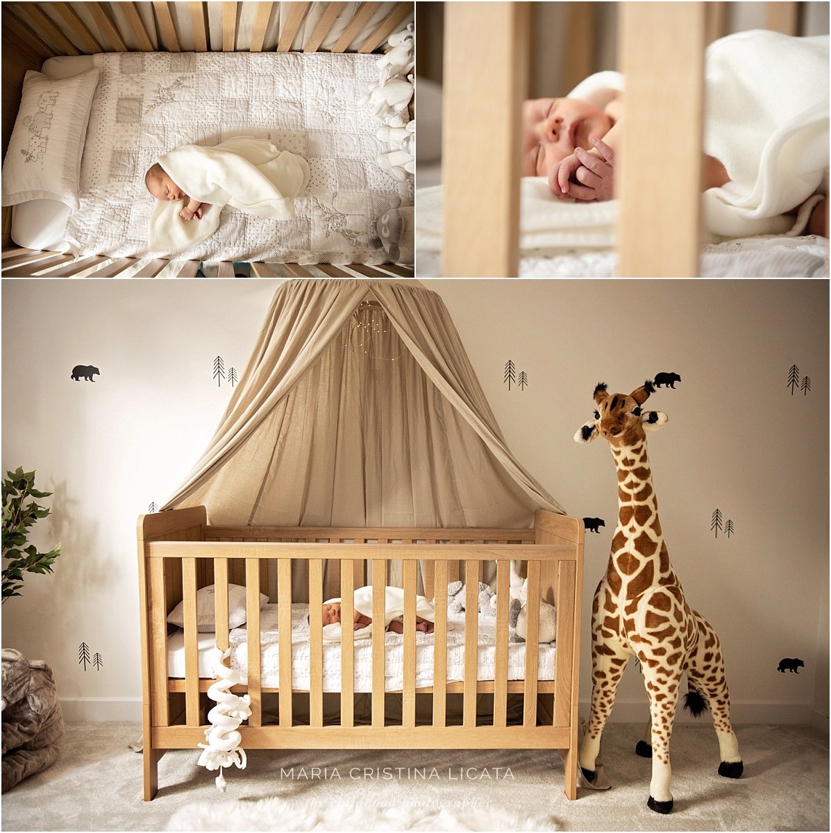 Christmas Baby Portraits <br />Newborn Photoshoot in Winchester newborn photography at home
