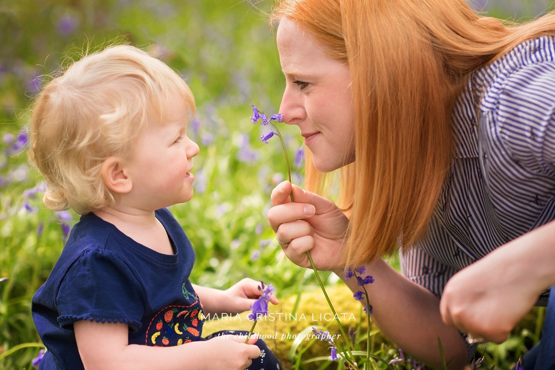 Family spring portraits <br />in the bluebells near Winchester bluebells family portraits winchester
