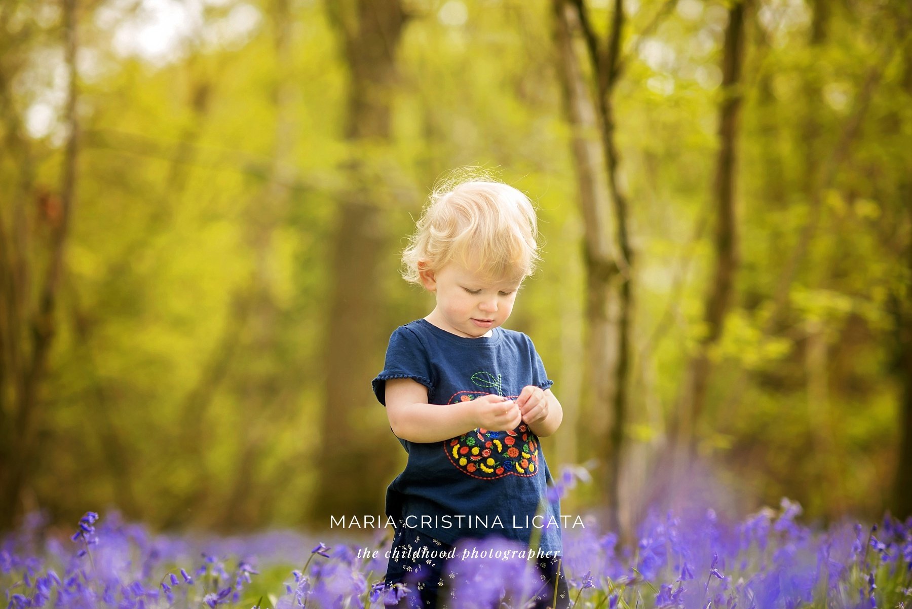 bluebells family portraits winchester