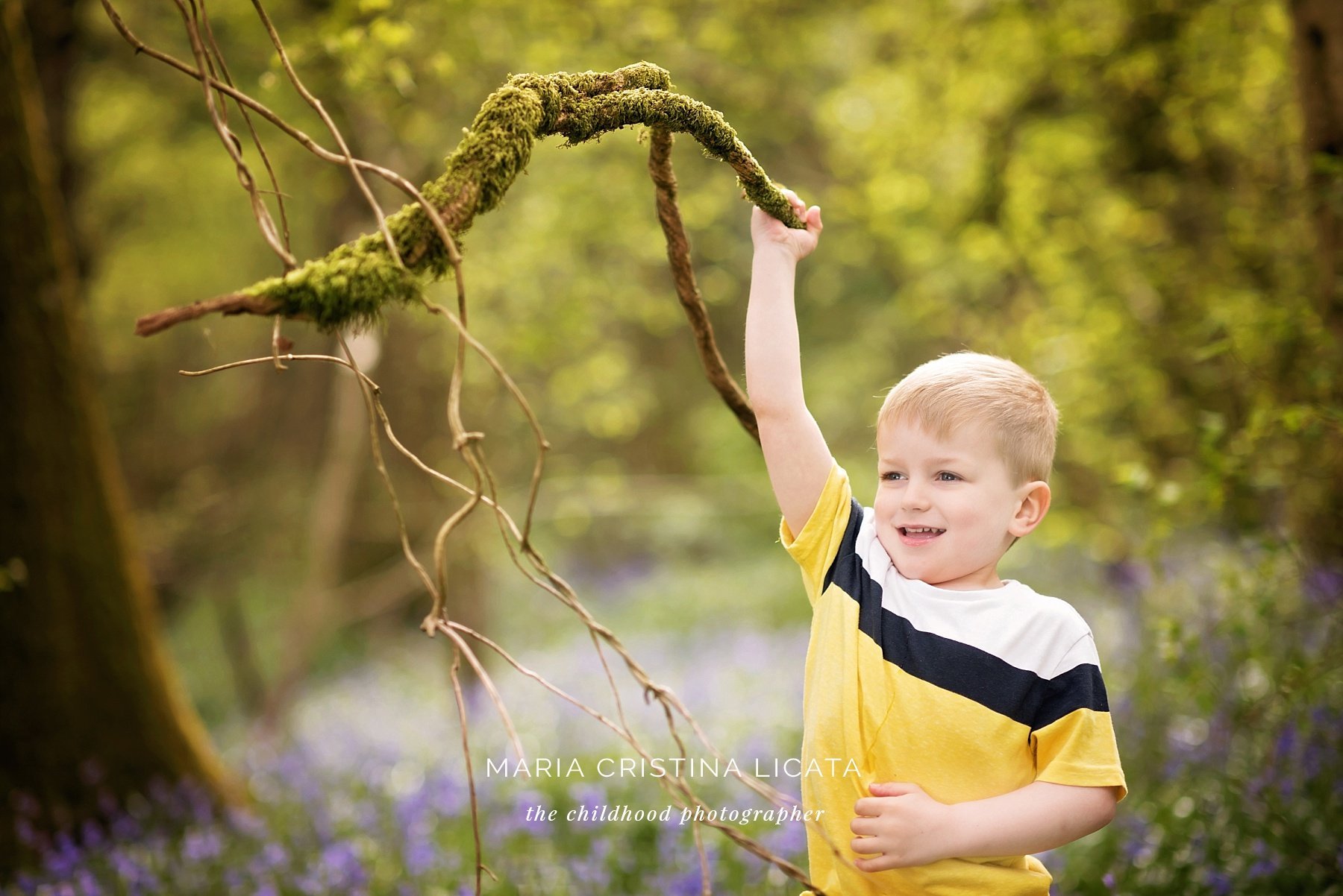bluebells family portraits winchester
