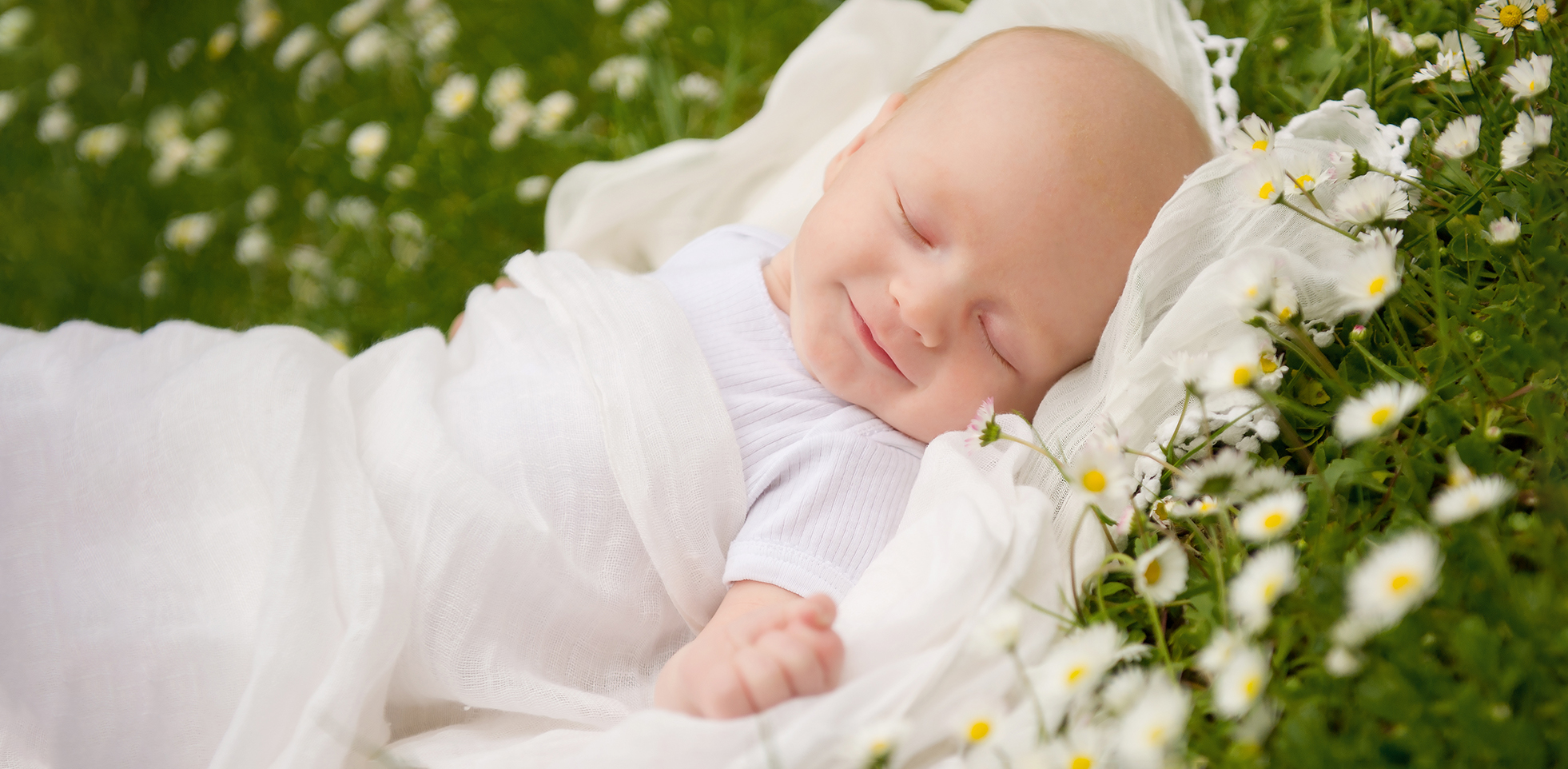 newborn photography reading sleeping smiling newborn on a white blanket in a field of white daisies - newborn photography reading