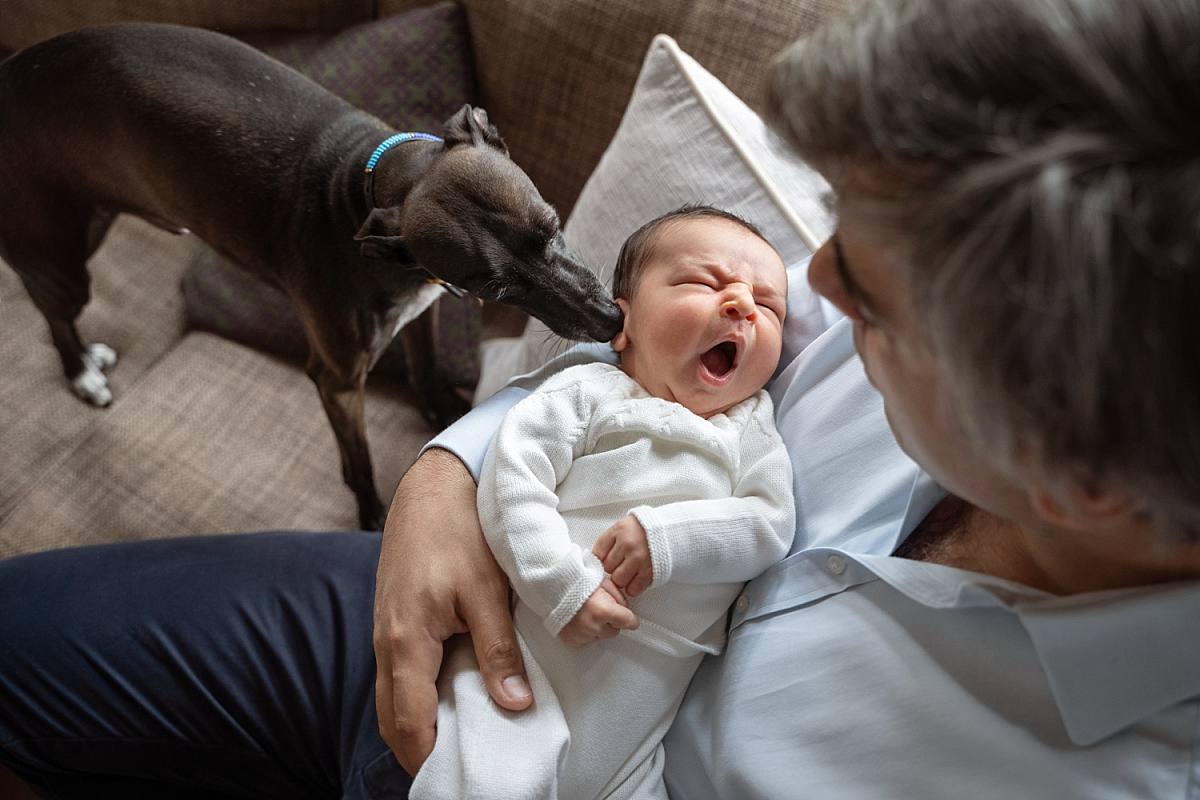 Newborn-Photographer-Reading newborn baby being held by dad while family dogs gently licks his ear - Newborn photography in Reading