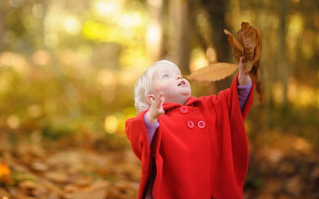 Your Autumn Family Photoshoot – 5 shots you shouldn’t miss