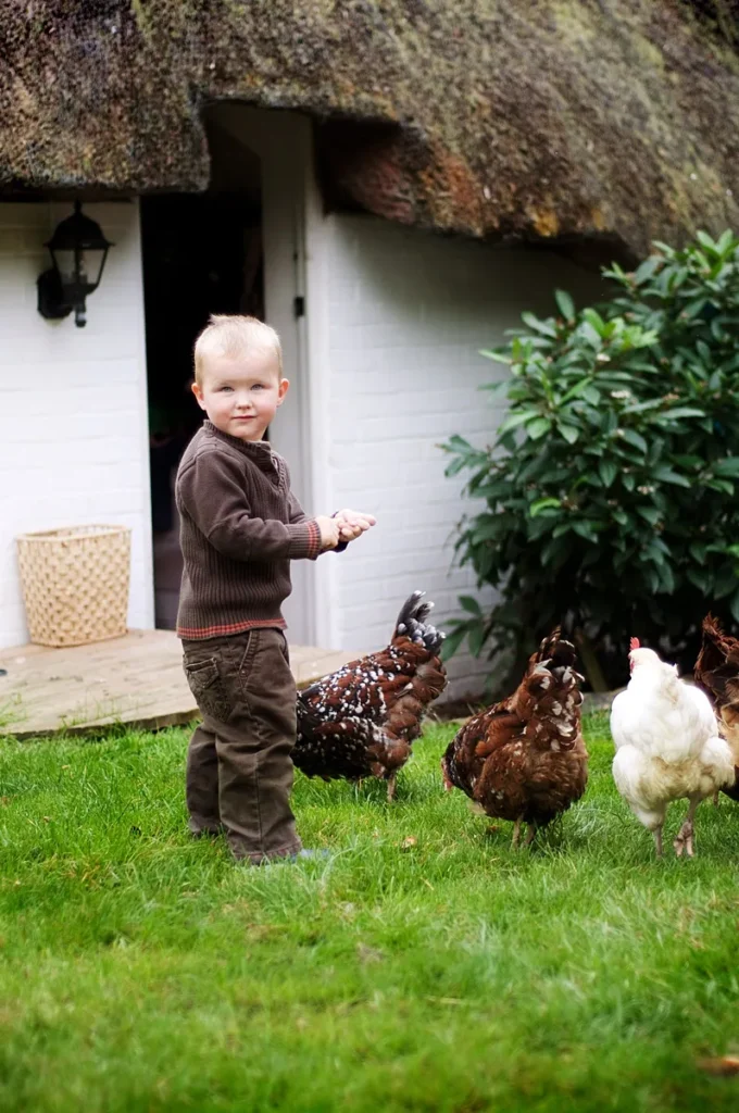 Portrait of a young boy feeding chickens in his home garden in Andover, Hampshire. captured by Hampshire family photographer Maria Cristina Licata