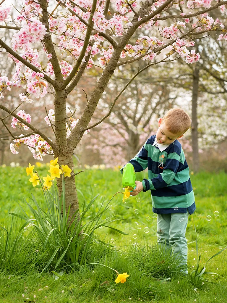 spring-photoshoot-banner-mobile A whimsical image of a boy watering daffodils with a water gun, with a background of pink blossom. Captured during a Spring family photoshoot in Kew Gardens by family photographer Maria Cristina Licata