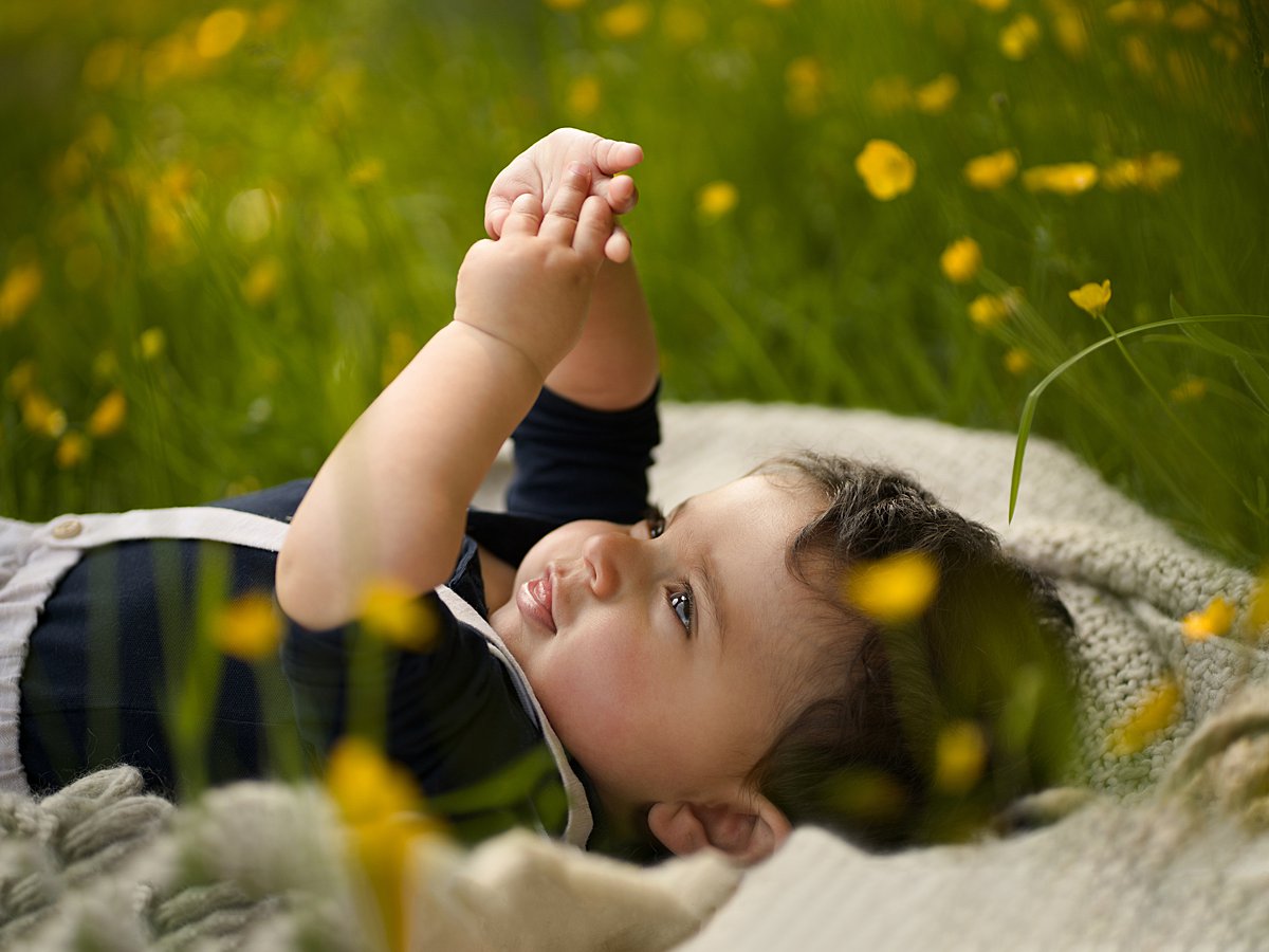 Natural portrait of a toddler boy laying in a meadow of buttercups during a spring family shoot