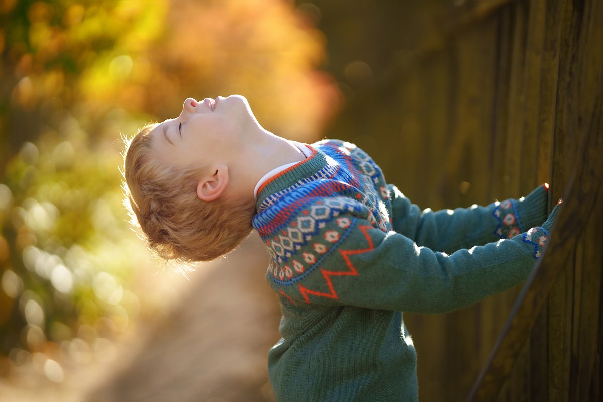 autumn-family-photoshoot_0080 Playful and natural portrait of a young boy, captured during an autumnal family photoshoot at Hampstead Heath.