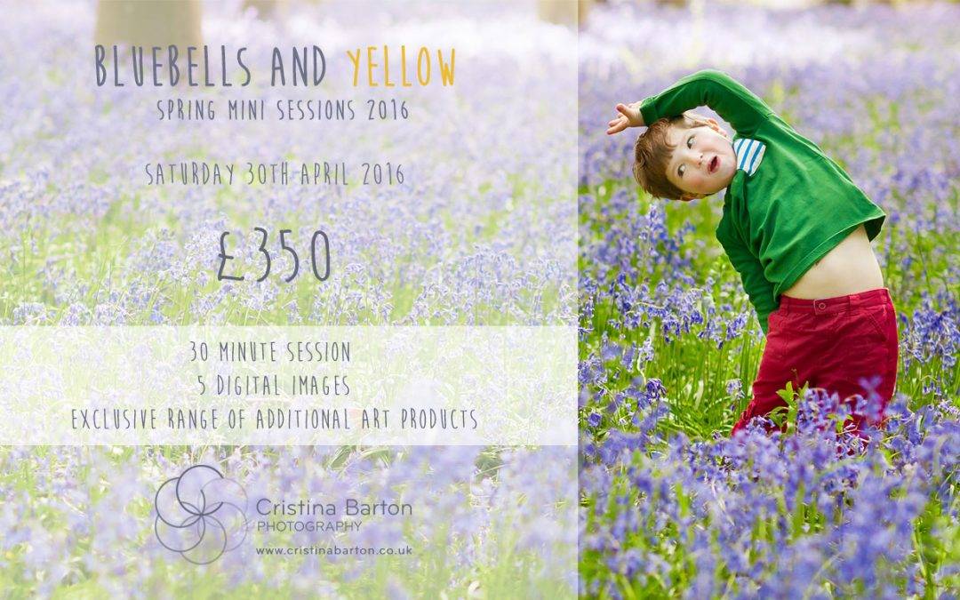 Bluebells and Yellow Mini Sessions 2016