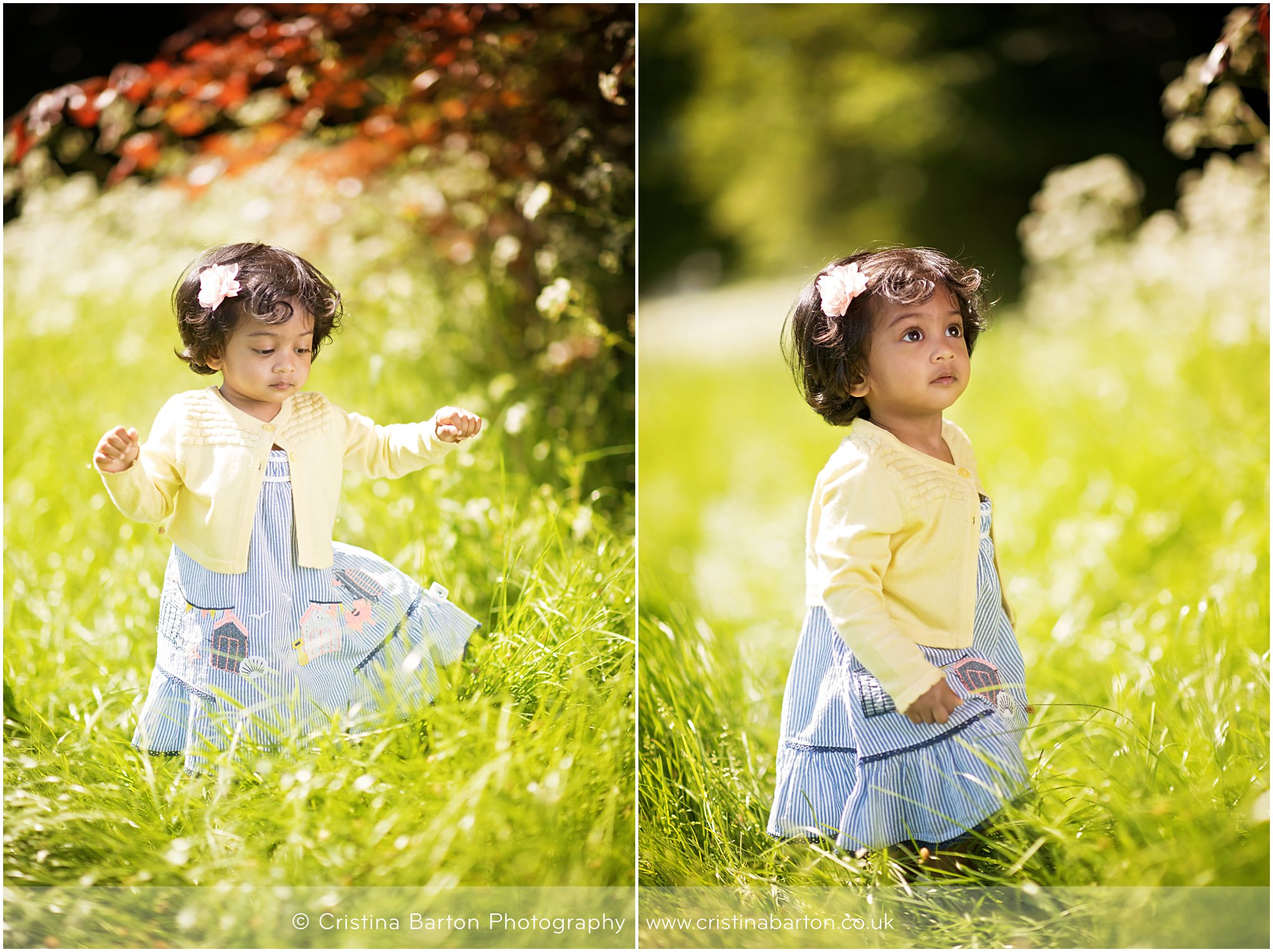 toddler and family portraits
