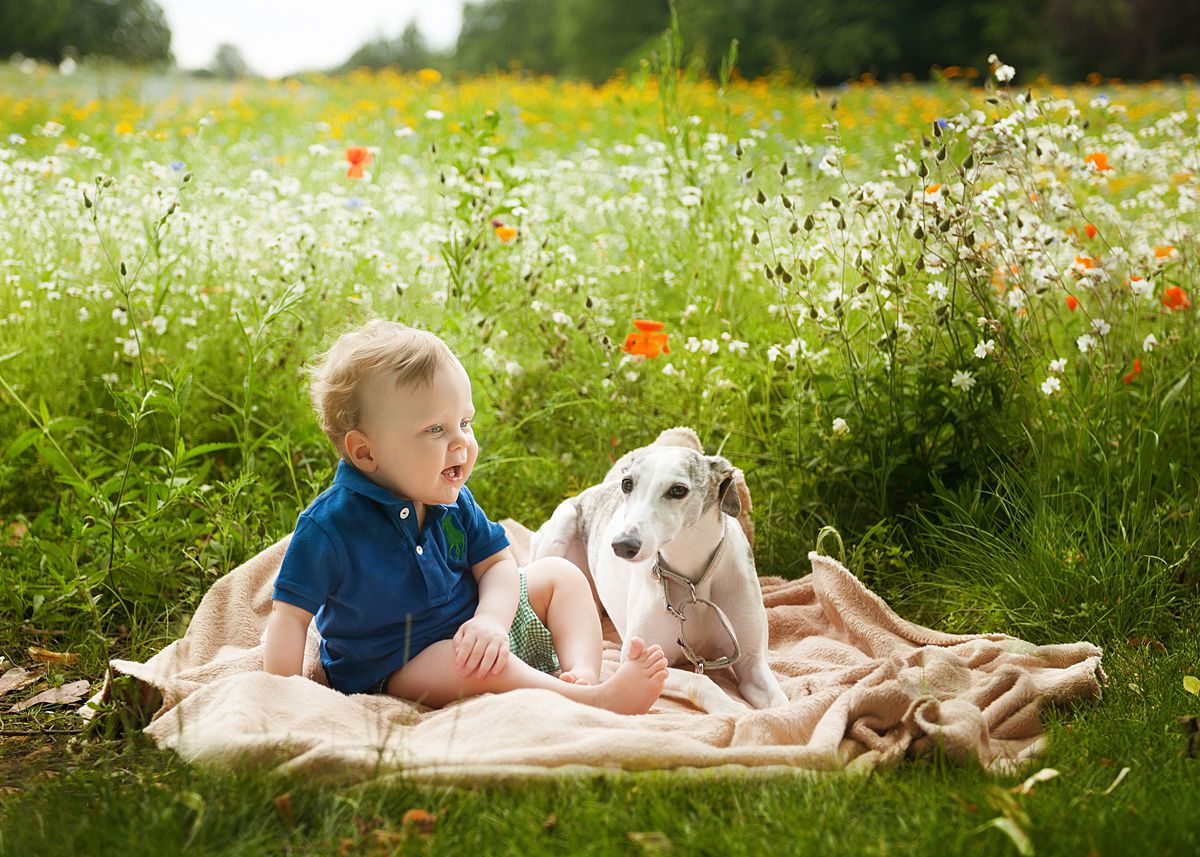 baby portraits