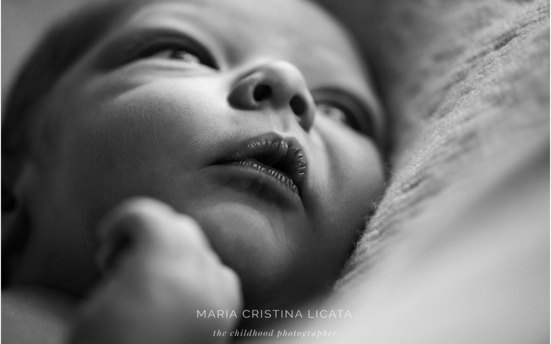 Christmas Baby Portraits Newborn Photography in Winchester
