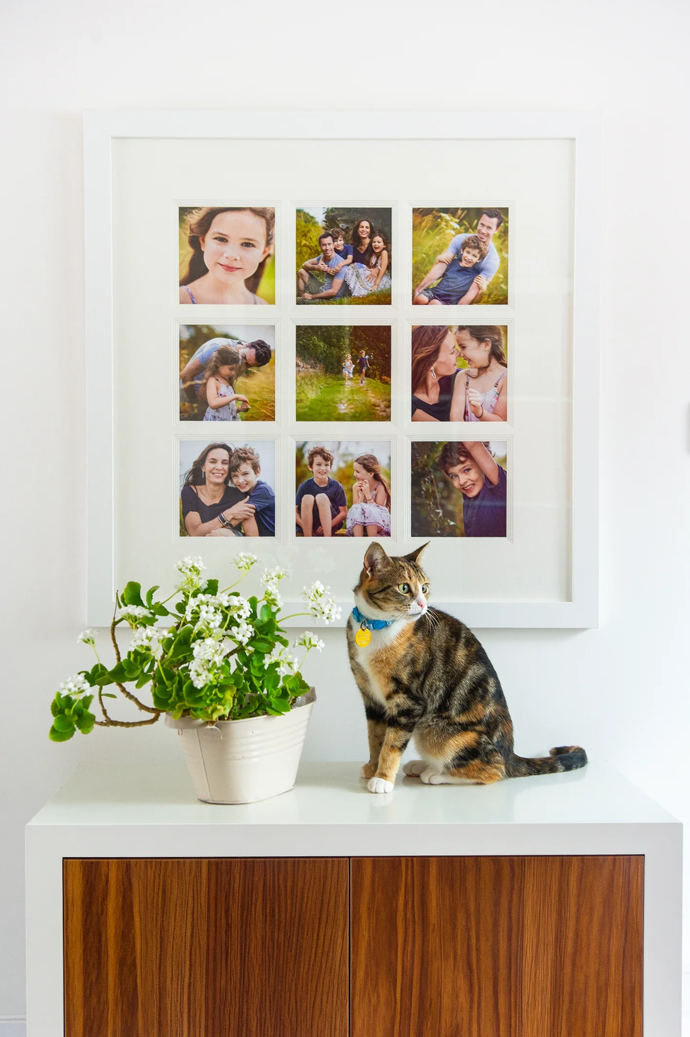 display family photos